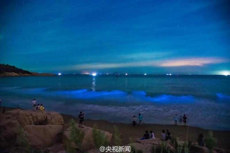 小猫钓鱼正版下载中文版