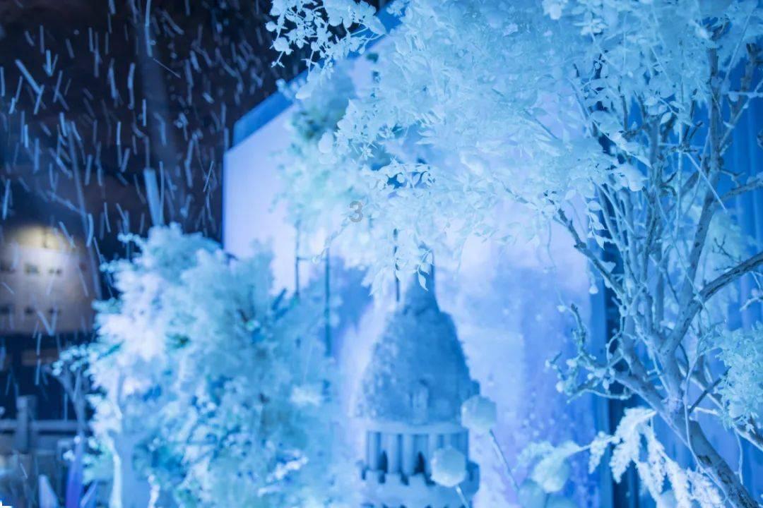营救小乌龟