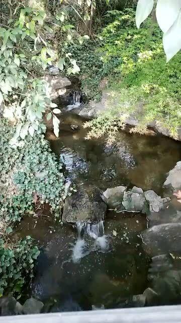 青蛙跳一跳