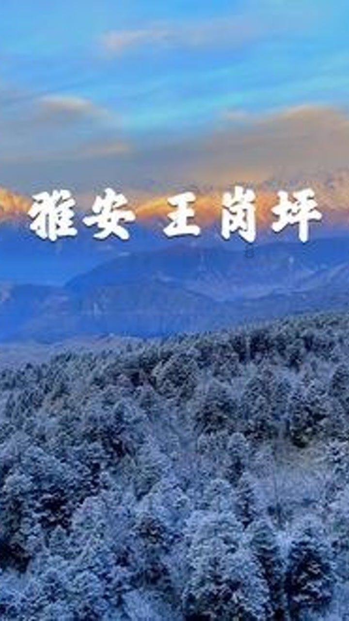 蜂巢能源150亿上市路终止:毛利率远不及同行,产能利用率堪忧