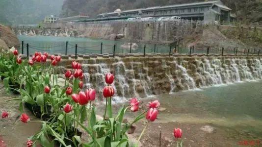 广州研学团开营学习急救培训
