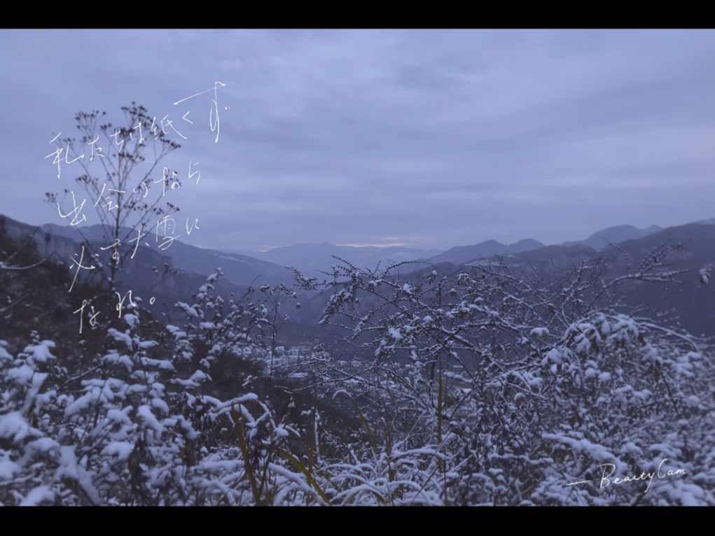 外星小怪大冒险