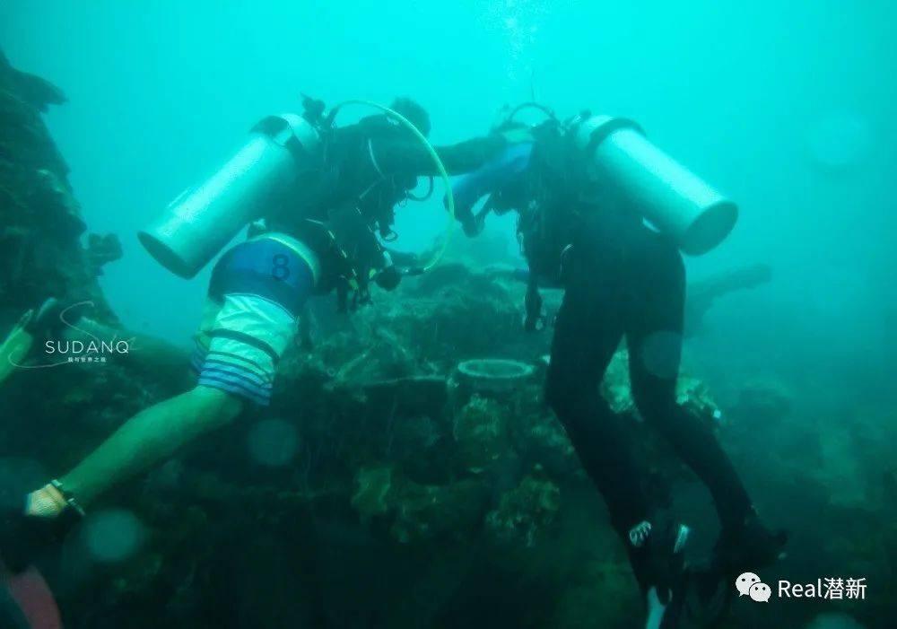 虫虫助手下载