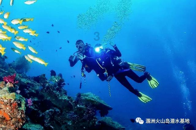 QQ企鹅