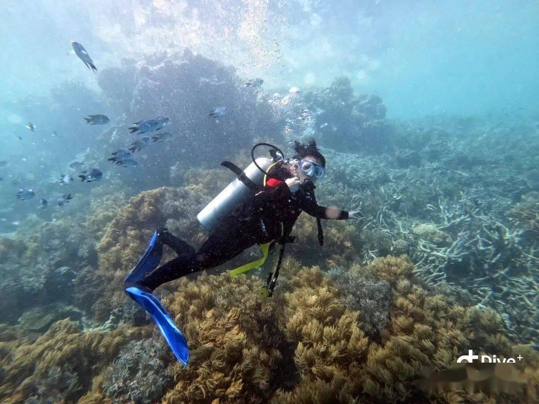 石林兴利达旅游客运有限公司被罚款2000元