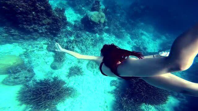逆水寒