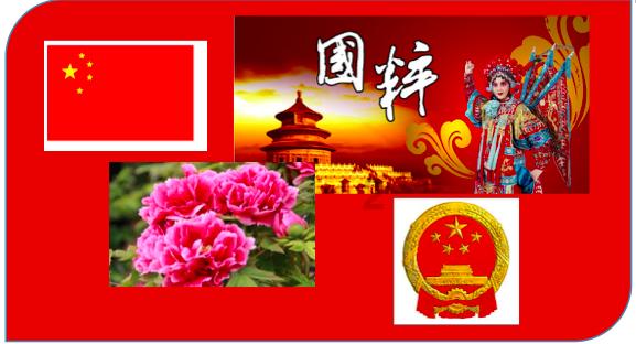 救援受困的小野猫