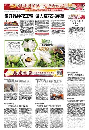 吃豆人的豆人