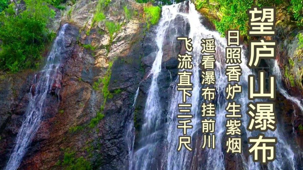 爱吃的鱼