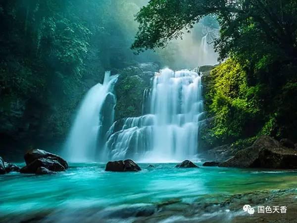 拯救巧虎3