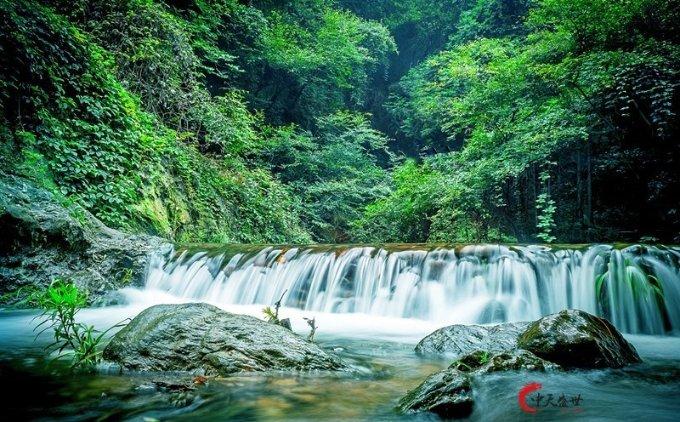 快刺水果