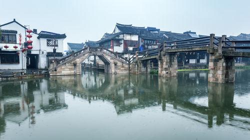 金刚鹦鹉逃生